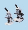 MML1203 Biological